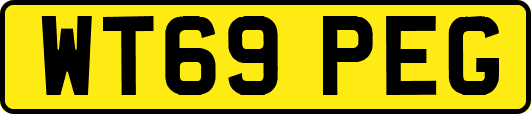 WT69PEG