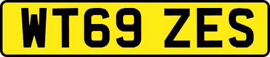 WT69ZES