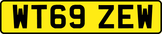 WT69ZEW