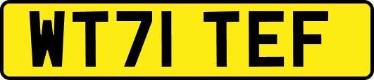 WT71TEF