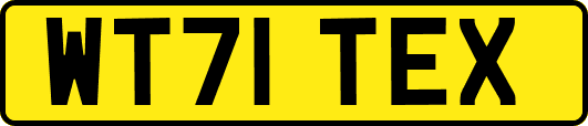 WT71TEX
