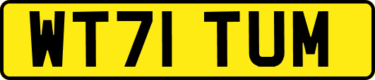 WT71TUM