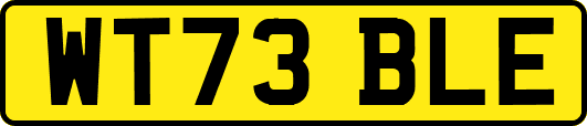 WT73BLE