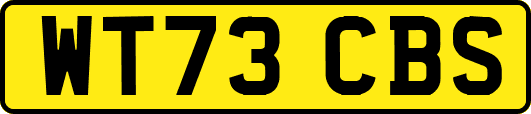 WT73CBS