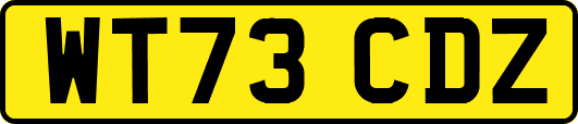 WT73CDZ
