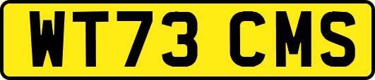 WT73CMS
