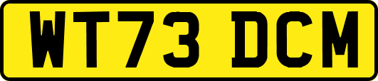 WT73DCM