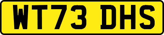 WT73DHS