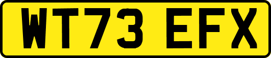 WT73EFX
