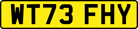 WT73FHY