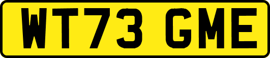 WT73GME