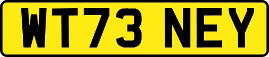 WT73NEY