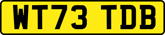 WT73TDB
