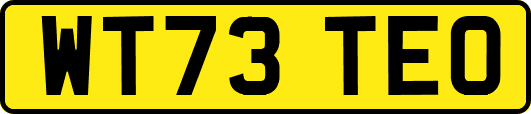 WT73TEO
