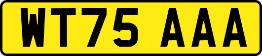 WT75AAA
