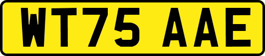 WT75AAE