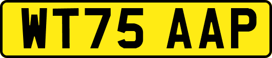 WT75AAP