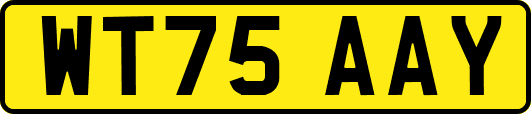 WT75AAY