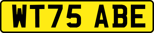 WT75ABE