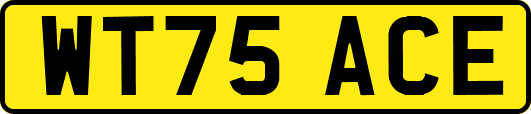 WT75ACE