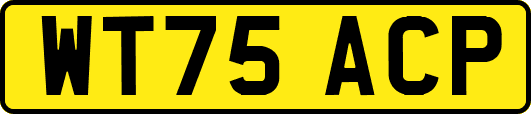 WT75ACP