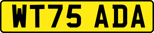 WT75ADA