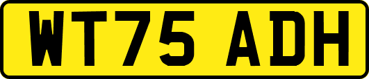 WT75ADH