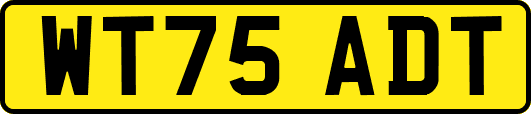 WT75ADT