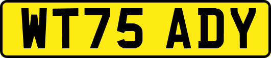 WT75ADY