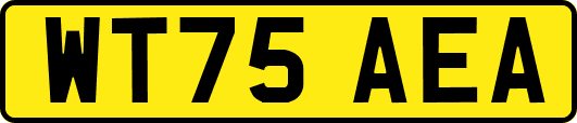 WT75AEA