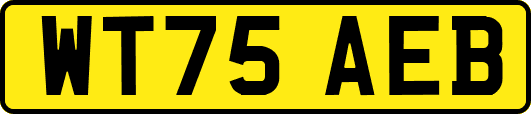 WT75AEB