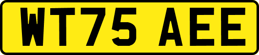 WT75AEE