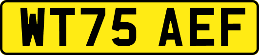 WT75AEF