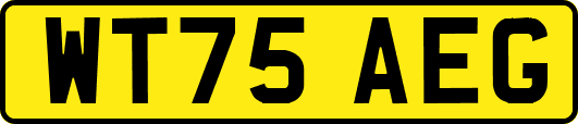 WT75AEG