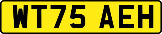 WT75AEH