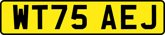 WT75AEJ