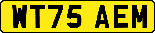 WT75AEM