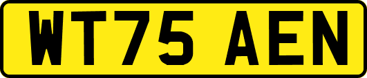 WT75AEN