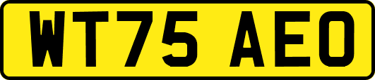 WT75AEO