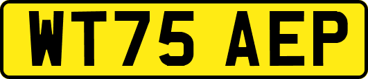 WT75AEP