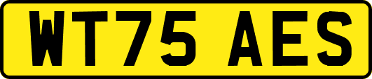 WT75AES