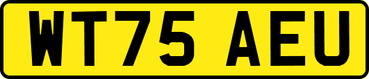 WT75AEU