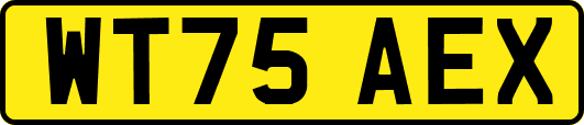 WT75AEX