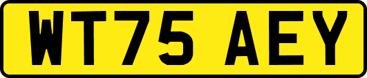 WT75AEY