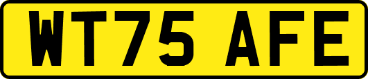 WT75AFE
