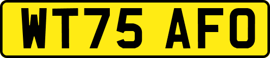 WT75AFO