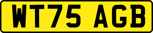 WT75AGB