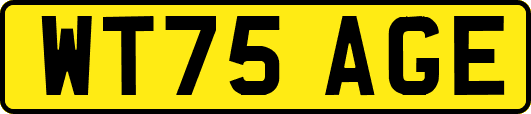 WT75AGE