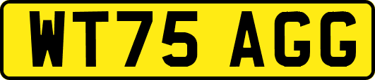 WT75AGG