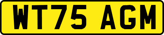 WT75AGM